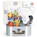 iAOVUEBY baby gift set with high contrast black and white elephant toy, rattle socks, blanket, and onesie.