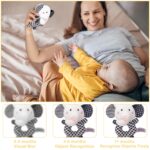 iAOVUEBY baby gift set with high contrast black and white elephant toy, rattle socks, blanket, and onesie.